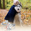 Mya™ | Women’s Adjustable Silver Dog Ring