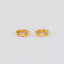 Classics Earring