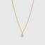 Kauri Shell (silver)