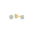 Larmes™ | Gold Stone Stud Earrings